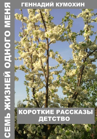 Геннадий Кумохин, Семь жизней одного меня. Короткие рассказы. Детство